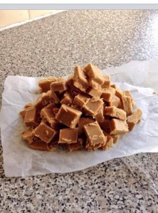 fudge at fields lodge