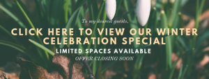 Click here to view our Winter Celebration Offer