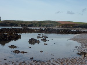 Low tide at Sandy Haven