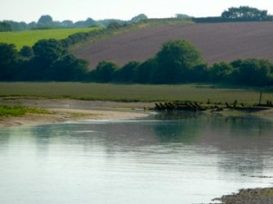 The Creek Skeleton Boat