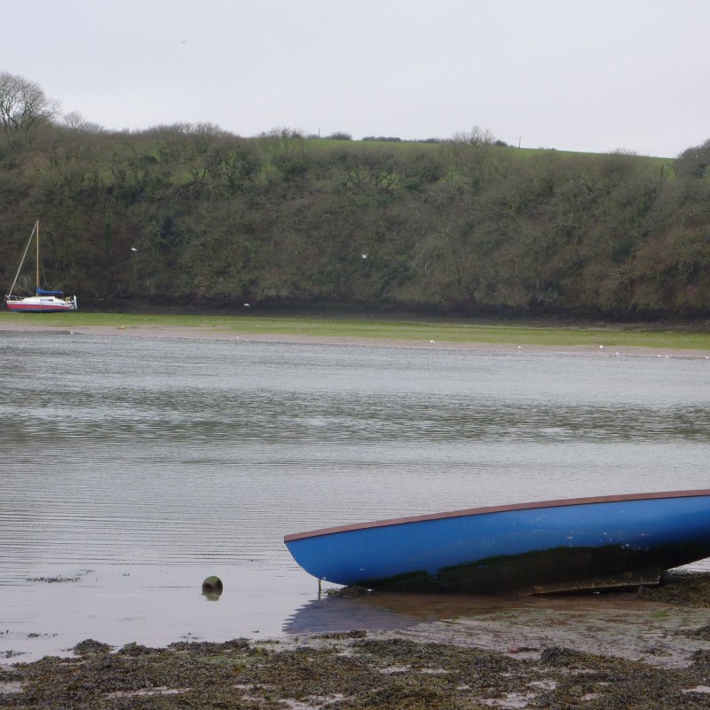 The Creek at Sandy Haven