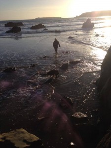 Beach Near Fields Lodge B&B
