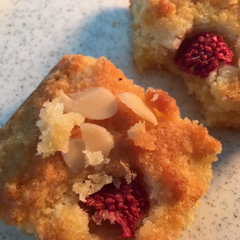 Alomnd & Raspberry Cake Bites