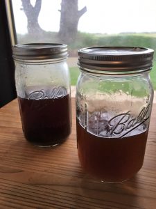 Water Kefir in process