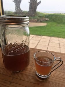 water kefir ready to drink