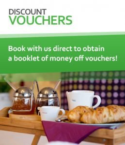 Discount vouchers for shopping