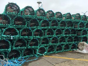 Fish Week Lobster pots