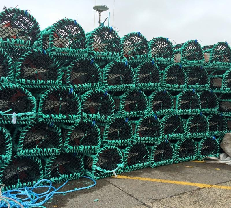 Fish Week Lobster pots