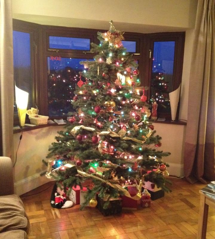 Fields Lodge Christmas Tree