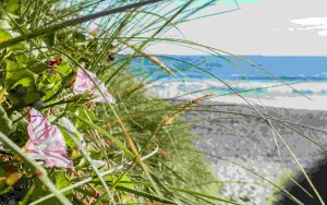 Pembrokeshire Beach