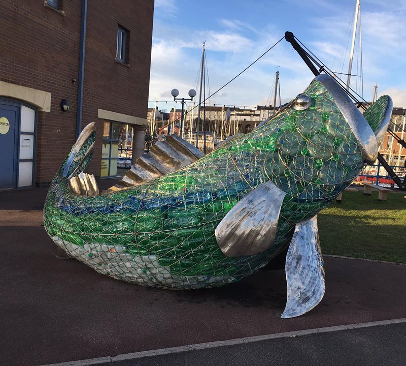 Bertie the Sea Bass