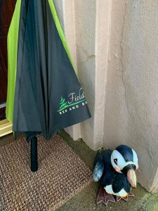 Fields Lodge Umbrella